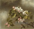 Hummingbird Und Apple Blüten romantische Blume Martin Johnson Heade